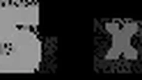 阿森纳主场不敌纽卡斯尔，马丁内利击中立柱哈弗茨错失良机 英联杯战报