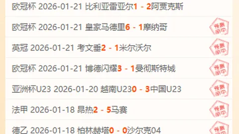 “辛纳在澳网力克紫薇，再度荣获男单冠军”